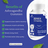 Zenius Ashwagandha Stress Relief & Immunity Booster Gummies (Wild Berry Flavour) - 30 Pics - Image #4