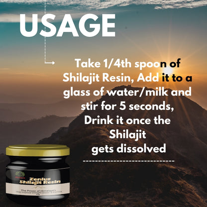 buy online shilajit resin in delhi