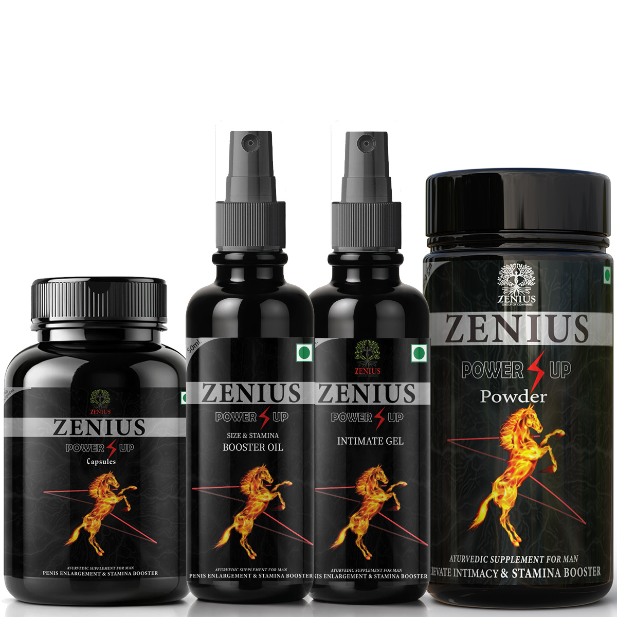Zenius Power UP kit