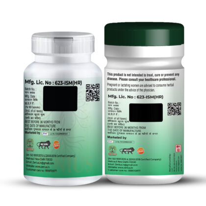 Zenius Fit Up Kit - Image 3