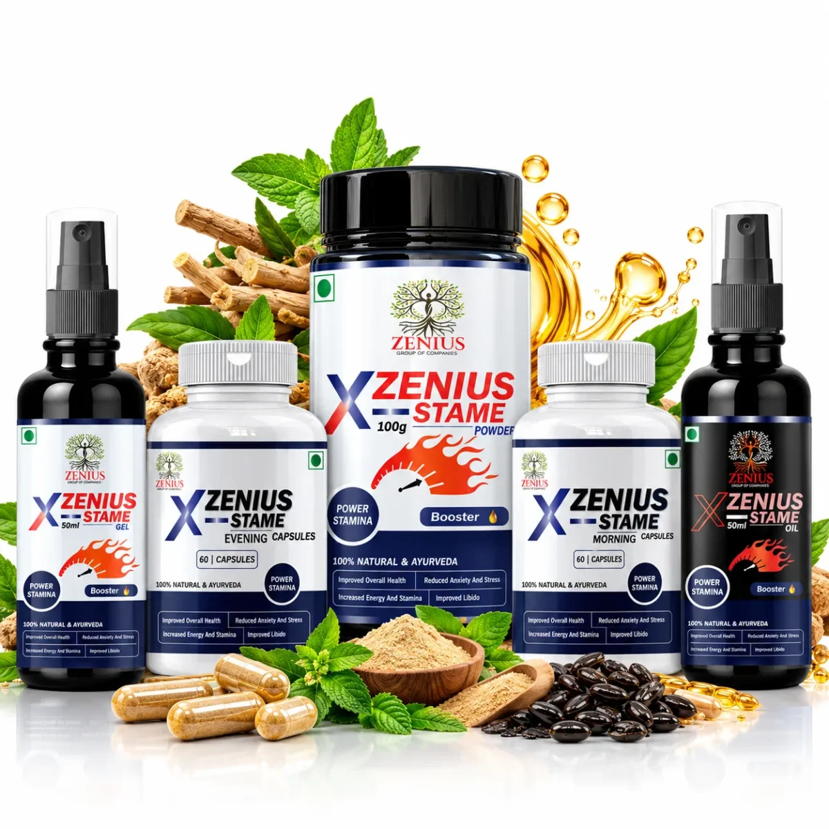 Zenius X-Stame Kit